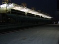 sv100173.jpg